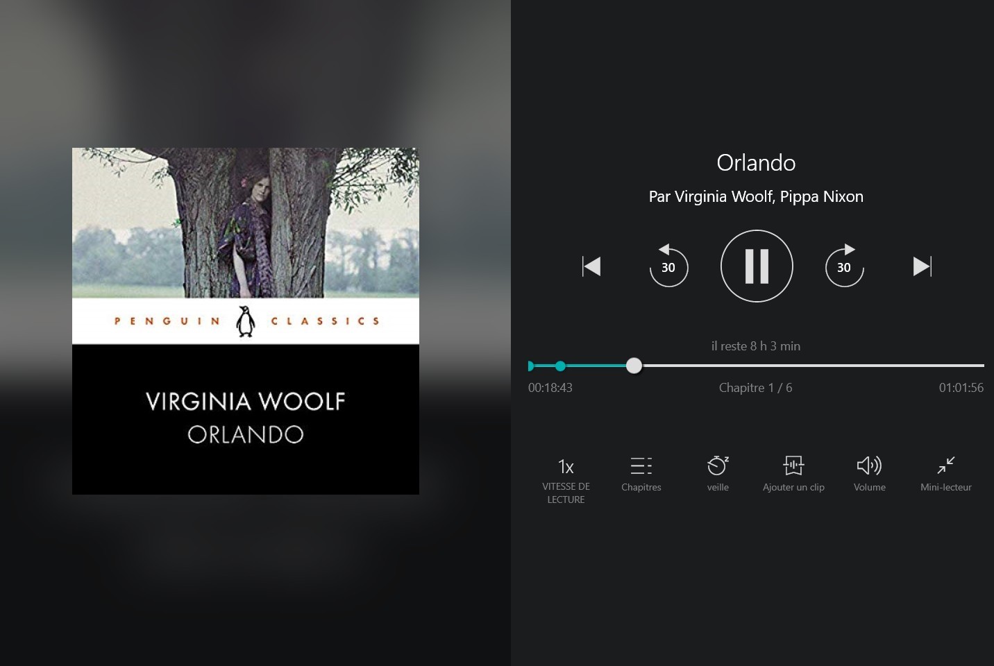 Audiobook: Pippa Nixon reads Orlando | Virginia Woolf | Penguin Audio, 8 hours